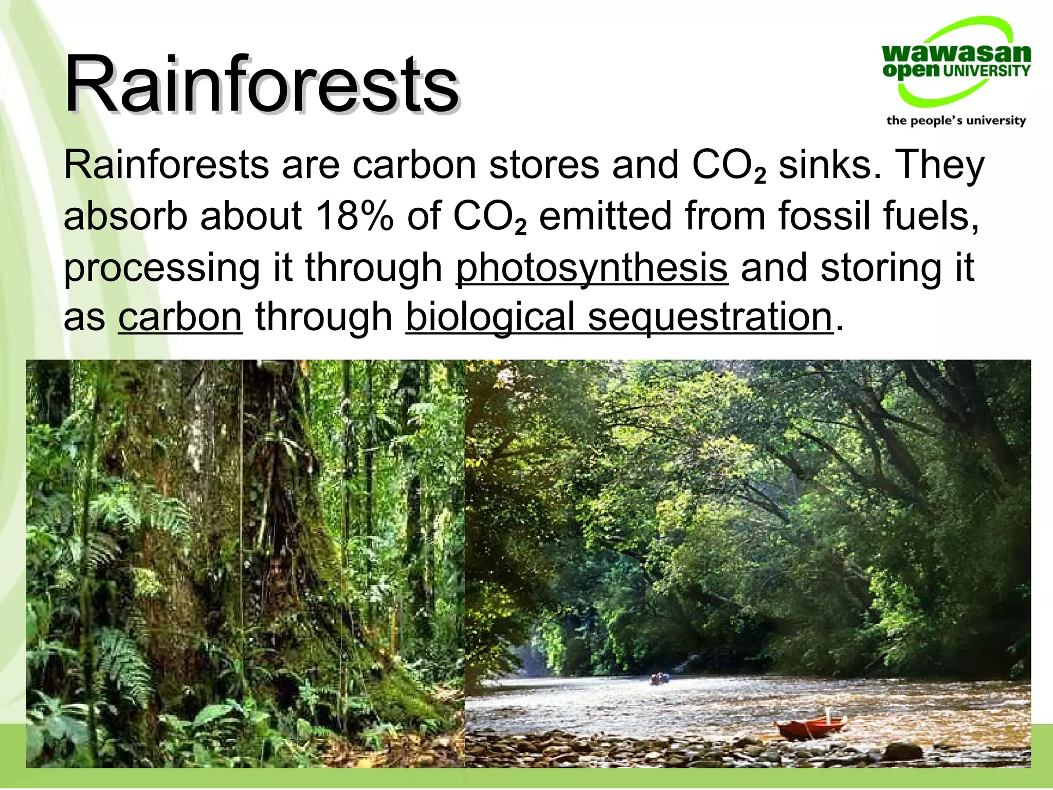 Rainforests are carbon stores and CO2 sinks. They
absorb about 18% of CO2 emitted from fossil fuels,
processing it through photosynthesis and storing it
as carbon through biological sequestration.
RainforestsRainforests
 