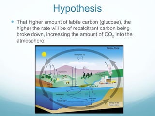 Hypothesis
 That higher amount of labile carbon (glucose), the
higher the rate will be of recalcitrant carbon being
broke down, increasing the amount of CO2 into the
atmosphere.
 
