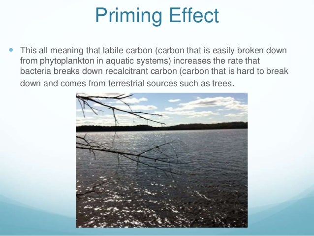 Unpriming Examples What Is Priming | Priming: Meaning, Types, Working, Effects and More ...