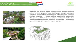 ნოპოდრაინი გამწვანების ჰოლანდიური სისტემა
„ნოპოდრაინი“ არის უნიკალური კომპანია, რომელიც იმუშავებს ყველანაირ სისტემას და
მასალებს ხარისხიანი და ჯანსაღი მწვანე გადახურვისთვის. აღნიშნული ხელს უწყობს
„ნოპოდრაინს“ რომ იყოს მოქნილი მის საქმიანობაში და შექმნას მომხმარებლის საჭიროებაზე
მორგებული პროდუქცია . კომპანია მჭიდროდ თანამშრომლობს დიზაინერებთან,
არქიტექტორებთან, მშენებლებთან და ლანდშაფტის დიზაინერებთან. სწორედ მათი
კოლაბორაციული მუშაობის მეშვეობით „ნოპოდრაინი“ აღწევს მის მიზანს - შესაძლებლობები
შეუსაბამოს მოთხოვნებს და მოახდინოს მათი გარემოში რეალიზება.
 