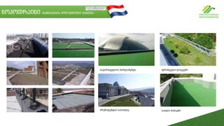 ნოპოდრაინი გამწვანების ჰოლანდიური სისტემა
საქართველოს პარლამენტი ფრანგული ლიცეუმი
პრეზიდენტის სასახლე სახლი მანავში
 