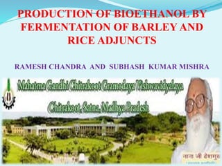 PRODUCTION OF BIOETHANOL BY
FERMENTATION OF BARLEY AND
RICE ADJUNCTS
RAMESH CHANDRA AND SUBHASH KUMAR MISHRA
 