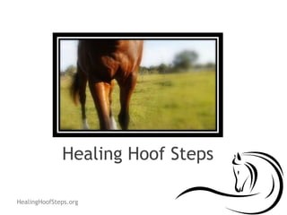 Healing Hoof Steps
HealingHoofSteps.org
 