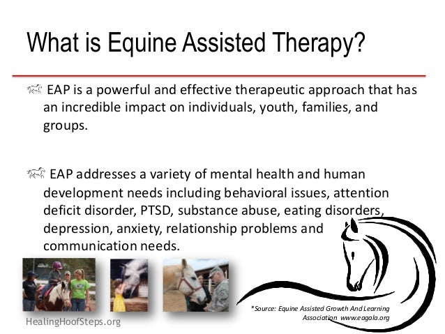 Equine therapy license image