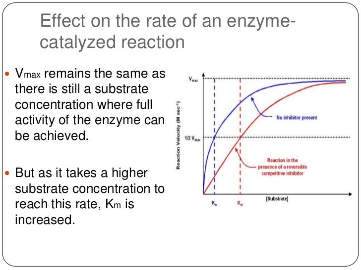 Enzyme Catalysis And Enzyme Inhibition