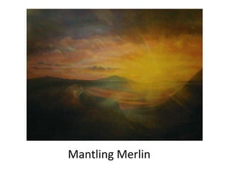 Mantling Merlin
 