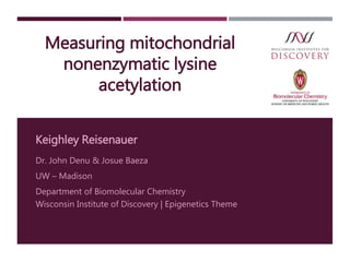 Measuring mitochondrial
nonenzymatic lysine
acetylation
Keighley Reisenauer
Dr. John Denu & Josue Baeza
UW – Madison
Department of Biomolecular Chemistry
Wisconsin Institute of Discovery | Epigenetics Theme
 