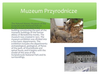 Muzeum Przyrodnicze
∗ The Natural History Museum of the
Świętokrzyski National Park on
Święty Krzyż is located in the
building constituting the part of the
monastic buildings of the former
abbey of Benedictine monks. The
museum was created in 1972. The
museum exhibition was divided into
a few basic departments. The
exhibition includes the departments:
archaeological, geological, of floras
of the park, of invertebrate and
spinal fauna, and it begins with the
model of the area of the
Świętokrzyski National Park and its
surroundings.
 