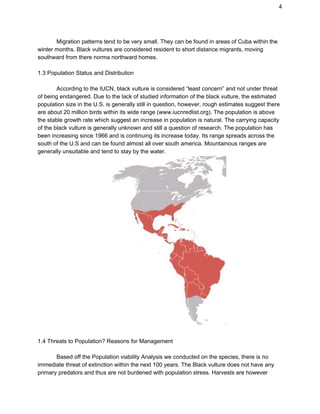 4
Migration patterns tend to be very small. They can be found in areas of Cuba within the
winter months. Black vultures are considered resident to short distance migrants, moving
southward from there norma northward homes.
1.3 Population Status and Distribution
According to the IUCN, black vulture is considered “least concern” and not under threat
of being endangered. Due to the lack of studied information of the black vulture, the estimated
population size in the U.S. is generally still in question, however, rough estimates suggest there
are about 20 million birds within its wide range (www.iucnredlist.org). The population is above
the stable growth rate which suggest an increase in population is natural. The carrying capacity
of the black vulture is generally unknown and still a question of research. The population has
been increasing since 1966 and is continuing its increase today. Its range spreads across the
south of the U.S and can be found almost all over south america. Mountainous ranges are
generally unsuitable and tend to stay by the water.
1.4 Threats to Population? Reasons for Management
Based off the Population viability Analysis we conducted on the species, there is no
immediate threat of extinction within the next 100 years. The Black vulture does not have any
primary predators and thus are not burdened with population stress. Harvests are however
 