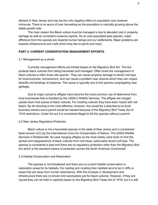 5
allowed in New Jersey and may be the only negative effect on population size however
miniscule. There is no worry of over harvesting as the population is naturally growing above the
stable growth rate.
The main reason the Black vulture must be managed is due to elevated cost in property
damage as well as consistent nuisance reports. As an over-populated pest species, major
afflictions from the species are towards human beings and our settlements. Major problems are
towards infrastructure and roofs which they like to perch and roost.
PART 2: CURRENT CONSERVATION/ MANAGEMENT EFFORTS
2.1 Management as a whole
Currently management efforts are limited based on the Migratory Bird Act. The Act
protects black vultures from being harvested and managed. Often times the management of
black vultures is often times site specific. They can cause property damage to tarred roof tops
for local business, homeowners, and can cause a problem near airports which they can impact
takeoffs and landings of airplanes. The cause is typically due to the species congregating near
garbage.
Due to major concerns effigies have become the most common use of deterrence from
local businesses that is handled by the USDA’s Wildlife Services. The effigies are hanged
upside down that scares of black vultures. For roosting vultures they have been hazed with red
lasers. By far shooting is the most effective; however, this would be a disturbance to local
business owners and a permit would be needed because of the Migratory Bird Treaty Act of
1918 restrictions. Under the act it is considered illegal to kill this species without a permit.
2.2 New Jersey Regulatory Protection
Black vulture is not a harvested species in the state of New Jersey and is considered
least concern (LC) by the ​International Union for Conservation of Nature. The USDA Wildlife
Services in Robbinsville, NJ uses hanging effigies as the most widely used tactic to limit the
spread and reappearance of black vultures from roof stops, particularly tarred roof tops. The
species is considered a pest and there are no regulatory protection other than the Migratory Bird
Act which is the standard means of protection across the North American Continental.
2.3 Habitat Conservation and Restoration
The species is not threatened and there are no current habitat conservation or
restoration areas for its habitats. For nesting and roosting their habitats tend to be in cliffs or
areas that are away from human disturbance. With the increase in development and
infrastructure there are no known bird sanctuaries just for black vultures. However, if they are
injured they can be held in captivity based on the Migratory Bird Treaty Act of 1918, but it is still
 