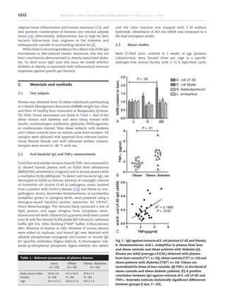 adipose tissue inflammation and insulin resistance [2,3], and
also promote translocation of bacteria into visceral adipose
tissue [14]. Alternatively, inflammation due to high-fat diet/
bacteria interactions may originate in the intestine and
subsequently cascade to surrounding visceral fat [9].
While there is mounting evidence for a direct role of the gut
microbiome in diet-induced insulin resistance, this has not
been conclusively demonstrated in obesity-associated diabe-
tes. To shed more light onto this issue we tested whether
diabetes in obesity is associated with inflammatory immune
responses against specific gut bacteria.
2. Materials and methods
2.1. Test subjects
Plasma was obtained from 32 obese individuals participating
in a Health Management Resources (HMR®) weight loss clinic
and from 10 healthy lean volunteers at Biospecialty (Colmar,
PA, USA). Donor parameters are listed in Table 1. Half of the
obese donors had diabetes and were being treated with
insulin, insulinotropes, metformin, glyburide, PPARγagonists,
or combinations thereof. Nine obese subjects with diabetes
and 5 obese controls were on statins, none were smokers. All
samples were obtained with approval from relevant Institu-
tional Review Boards and with informed written consent.
Samples were stored at −86 °C until use.
2.2. Anti-bacterial IgG and TNFα measurements
Total (free and soluble-receptor bound) TNFα was measured in
2× diluted human plasma with an ELISA from eBioscience
(BMS223HS; sensitivity 0.13 pg/mL) and in mouse plasma with
a multiplex ELISA (Millipore). To detect anti-bacterial IgG, we
developed an ELISA as follows: Extracts of overnight cultures
of Escherichia coli strains LF-82 (a pathogenic strain isolated
from a patient with Crohn's disease [15]) and Nissle (a non-
pathogenic strain), Bacteroides thetaiotaomicron, or Lactobacillus
acidophilus grown in Lysogeny Broth, were prepared using a
detergent-based bacterial protein extraction kit (“B-Per”;
Pierce Biotechnology). The extracts likely contained a mix of
lipid, protein, and sugar antigens from cytoplasm, mem-
branes and cell walls. Extracts (10 μg protein/well) were coated
onto 96 well flat-bottom ELISA plates (BD-Falcon) in carbonate
buffer (pH 9.6). After blocking (“NAP” buffer; G-Biosciences),
400× dilutions of human or 100× dilutions of mouse plasma
were added in triplicate, and bound IgG was detected with
alkaline phosphatase-conjugated anti-human or mouse IgG
(Fc specific) antibodies (Sigma-Aldrich). A chromogenic sub-
strate (p-nitrophenyl phosphate; Sigma-Aldrich) was added,
and the color reaction was stopped with 3 M sodium
hydroxide. Absorbance at 450 nm (A450) was measured in a
Bio-Rad microplate reader.
2.3. Mouse studies
Male C57Bl/6 mice, ordered at 5 weeks of age (Jackson
Laboratories), were housed three per cage in a specific
pathogen-free animal facility with a 12 h light/dark cycle,
Table 1 – Relevant parameters of plasma donors.
Lean
(n=10)
Obese
(n=16)
Obese, diabetes
(n=16)
Body-mass index 24.8±3.0 41.1±10.4 40.6±7.1
Gender 1F, 9M 7F, 9M 7F, 9M
Age 42.3±11.2 50.8±17.0 59.2±7.2
P < .01
P < .05
P = .0181
A
B
C
Fig. 1 – IgG against extracts of E. coli (strains LF-82 and Nissle),
B. thetaiotaomicron, and L. acidophilus in plasma from lean
and obese controls and obese patients with diabetes (A).
Shown are A450 (average±S.E.M.) obtained with plasma
from lean controls (“L”; n=10), obese controls (“O”; n=16) and
obese patients with diabetes (“OD”; n=16). Values are
normalized for those of lean controls. (B) TNFα in the blood of
obese controls and obese diabetic patients. (C) A positive
correlation between IgG against extracts of E. coli LF-82 and
TNFα. Asterisks indicate statistically significant differences
between groups (t test, P<.05).
1212 M E T A B O L I S M C L I N I C A L A N D E X P E R I M E N T A L 6 1 ( 2 0 1 2 ) 1 2 1 1 – 1 2 1 4
 