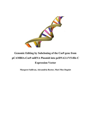  
 
 
 
Genomic Editing by Subcloning of the Cas9 gene from 
pCAMBIA­Cas9 snRNA Plasmid into pcDNA3.1/V5­His C 
Expression Vector 
 
Margaret Sullivan, Alexandria Rector, Mari Moe Dagslet 
 
 
 
 
 
 
 
 
 
 
 
 
 