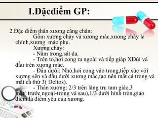 I.Đặcđiểm GP:
2.Đặc điểm thân xương cẳng chân:
Gồm xương chày và xương mác,xương chày la
chính,xương mác phụ.
Xương chày:
- Nằm trong,sát da.
- Trên to,hơi cong ra ngoài và tiếp giáp XĐùi và
đầu trên xương mác.
- Đầu dưới: Nhỏ,hơi cong vào trong,tiếp xúc với
xương sên và đầu dưới xương mác,tạo nên mắt cá trong và
mắt cá thứ 3( Deltos).
- Thân xương: 2/3 trên lăng trụ tam giác,3
mặt( trước ngoài-trong và sau),1/3 dưới hình tròn,giao
điểm là điểm yếu của xương.

 