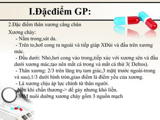 I.Đặcđiểm GP:
2.Đặc điểm thân xương cẳng chân
Xương chày:
- Nằm trong,sát da.
- Trên to,hơI cong ra ngoài và tiếp giáp XĐùi và đầu trên xương
mác.
- Đầu dưới: Nhỏ,hơi cong vào trong,tiếp xúc với xương sên và đầu
dưới xương mác,tạo nên mắt cá trong và mắt cá thứ 3( Deltos).
- Thân xương: 2/3 trên lăng trụ tam giác,3 mặt( trước ngoài-trong
và sau),1/3 dưới hình tròn,giao điểm là điểm yếu của xương.
- Là xương chịu áp lực chính từ thân người.
- Nên khi chấn thương-> dể gảy nhưng khó liền.
- MM nuôi dưỡng xương chày gồm 3 nguồn mạch

 