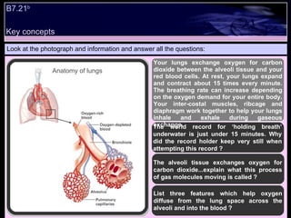 B7 lesson part four | PPT