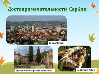Достопримечательности Сербии
Город Чачак
Сербский АфонВнутри монастырского комплекса