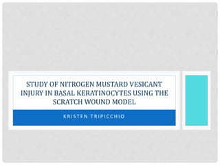 K R I S T E N T R I P I C C H I O
STUDY OF NITROGEN MUSTARD VESICANT
INJURY IN BASAL KERATINOCYTES USING THE
SCRATCH WOUND MODEL
 