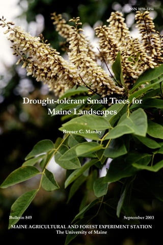 ISSN 1070–1494




      Drought-tolerant Small Trees for
      Drought-tolerant Small Trees for
           Maine Landscapes
           Maine Landscapes
                  Reeser C. Manley
                  Reeser C. Manley




Bulletin 849                           September 2003

 MAINE AGRICULTURAL AND FOREST EXPERIMENT STATION
                The University of Maine
                The University of Maine
 
