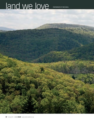 20  Spring 2015  SAVINGland  www.landtrustalliance.org
land we love PHOTOGRAPH BY TOM COGILL
 
