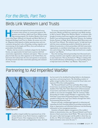 www.landtrustalliance.org  SAVINGland  Spring 2015  7
T
he golden-winged warbler has experienced one of the
steepest declines of any North American songbird over
the past 45 years. Once ranging across the northern
Midwest, Great Lakes and Appalachian states, the bird
has lost much of its shrubland breeding habitat to development,
agriculture and maturing forests. The dwindling numbers of
golden-winged warblers that breed around the Great Lakes now
represent 95% of the world population.
The Thousand Islands Land Trust and Indian River Lakes
Conservancy are partnering with the Cornell Lab of Ornithology,
Audubon New York, New York’s Department of Environmental
Conservation and Clarkson University to protect the imperiled
warbler in one of its last strongholds. Their St. Lawrence Valley
Partnership for Golden-winged Warblers is supported by a New
York State Conservation Partnership Program Catalyst Grant,
awarded in 2014 by the Land Trust Alliance through New York’s
Environmental Protection Fund.
Partners will take a multipronged approach to enhancing and
expanding the bird’s breeding habitat by providing training work-
shops to organizations and individual landowners and distributing
information on best management practices.
Scientists will guide adaptive management of the warbler’s
habitat on demonstration sites, says Thousand Islands Land Trust’s
director of land conservation, Sarah Walsh. “We want to have these
sites open to other land managers and the public to show they can
do this, too. What we’re hoping to do is plant these seeds of small
habitat restoration zones across the area.” •
Partnering to Aid Imperiled Warbler
H
ow can local and regional land trusts scattered across
11 western states partner on conservation projects? The
question arose during a 2010 Land Trust Alliance leader-
ship training program. For Andrew Mackie of the Land
Trust of the Upper Arkansas in Colorado and Marie McCarty of
Kachemak Heritage Land Trust in Alaska, the answer was in the
air. Migratory birds depend on habitat spanning states and even
continents during their cycles of breeding, nesting, migration and
overwintering. In the largely arid West, rivers and wetlands are
particularly critical habitat.
Mackie, who has served as a wetland ecologist for the Audubon
Society, sees opportunities for land trusts to partner with bird
conservation organizations, volunteers and experts. “There are more
plans for birds than any other organisms in the United States, but
land trusts don’t always have the time and expertise to incorporate
all of that research into their conservation planning and communi-
cations,” he says.
To increase connections between bird conservation entities and
land trusts, Mackie and McCarty organized a post-Rally meeting
in 2013 to launch “Wings Over Western Waters,” an initiative that
brought 16 western land trusts together with representatives of the
Pacific Coast and Intermountain West Joint Ventures, the Audubon
Society, Partners in Flight, Rocky Mountain Bird Observatory and
the Land Trust Alliance. The initiative’s goal is “to help land trusts
with the science and planning needed to identify key species and
habitats for protection, to form partnerships with bird conservation
organizations, to contribute toward large-scale conservation initia-
tives and to bring in ‘big’ funding to help local land trusts complete
projects,” says Mackie.
Since the meeting, informal partnerships have blossomed and a
steering committee came together to plan next steps and reach out
to more land trusts. Next on the horizon? “Wings is working with
the Cornell Laboratory of Ornithology on several possible projects
to help land trusts in the West,” says Mackie. “Stay tuned.” •
KATHERINENOBLET
A golden-winged warbler
For the Birds, Part Two
Birds Link Western Land Trusts
 
