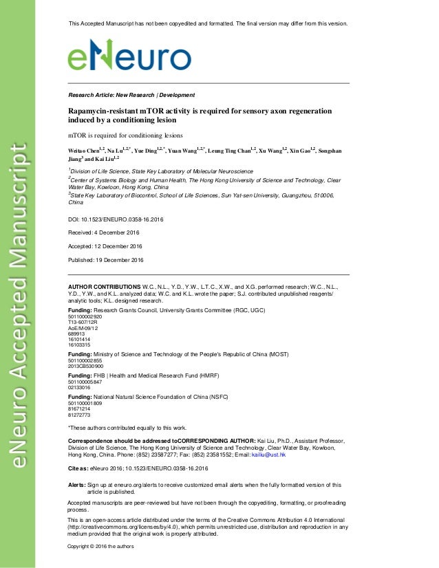 Eneuro 0358 16 2016 Full