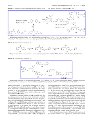 Article Journal of Medicinal Chemistry, 2009, Vol. 52, No. 15 4705
sodium phenolate of 23, generated in situ with NaH in DMF,
was subsequently reacted with the tosylate 24 to provide the
BOC protected 4-iodobenzophenone derivative 26. Stille
coupling of 26 with thiophene-3-boronic acid followed by
deprotection of the N-BOC under acidic conditions provided
the compound 18 (Scheme 1).
Subsequent structural studies of 14 revealed that the
pyrrolidine moiety was bound at the bend in the LTA4H
substrate binding cavity (Figure 2N). It provided the neces-
sary kink for the molecule pivoting toward catalytic Zn2þ
. Its
binding mode resembled the pyrrolidine group orientation in
the DG-051-LTA4H complex (Figure 4). It was also similar
to the positioning of the phenyl ring of bestatin bound to
LTA4H. This allowed the lone electron pair of the nitrogen
to form a potential 3 A˚ hydrogen bond with Oε1 of Gln134.
This simple structure-guided modification immediately furn-
ished a 4000-fold improvement in affinity of 14 against the
enzyme with IC50 values of 207 and 157 nM in the peptidase
and hydrolase assays, respectively. Superimposing the struc-
ture of 14 with the coordinates of the “fragment plus frag-
ment” structure of 4 with acetate showed that there was a
1.9 A˚ gap between the methyl carbon of acetate and the
nearest carbon atom of the pyrrolidine (Figure 4), suggesting
that a single carbon atom linkage between the two compo-
nents would yield a molecule with LTA4H binding similar
to that of DG-051 (Figure 2S). Structural studies of 18
(Figure 2R) confirmed that, similar to 7, the thiophene moiety
displaced two water molecules from the bottom of the sub-
strate binding cavity (Figure 5). The biaryl core of 18 was
shifted compared to the parent molecule 6, moving carbonyl
oxygens 5.2 A˚ apart. This motion likely decreased the un-
favorable interaction with the backbone carbonyl of Trp311,
resulting in a potent inhibitor with IC50 values of 80 nM in the
peptidase assay and 189 nM in the hydrolase assay.
To further explore elaboration of fragment 6, we displaced
the fluorine atom in 6 with N-pyrrolidin-2-ethanol to furnish
Scheme 1. Synthetic Routes for New Molecules Inspired by the LTA4H Binding Modes of Compounds 4, 6, and 7a
a
Reagents and conditions: (a) AlCl3, 10 °C, nitrobenzene, 90%; (b), BBr3, CH2Cl2, -78 °C f 0 °C, 85%; (c) NaH/DMF, 0 °C f rt f 90 °C; (d) 1 M
HCl/Et2O, 80-97%; (e) thiophene-3-boronic acid (2 equiv), Pd(OAc)2 (25 mol %), K2CO3/EtOH/DME, 90 °C, 60%.
Scheme 2. Elaboration of Fragment 6a
a
Reagents and conditions used are as follows: (a) 1-(2-hydroxyethyl)pyrrolidine, K-Ot
Bu, DMSO, 90 °C, 16 h, 54%; (b) NaBH4, MeOH, 40 °C, 4 h.
Scheme 3. Elaboration of Fragment 11a
a
Reagents and conditions: (a) 1-(2-chloroethyl)pyrrolidine, K2CO3, acetone, 19%; (b) 1-bromo-2-chloroethane, K2CO3, 2-butanone, reflux 60 h,
17%; (c) piperidine-4-carboxylic acid ethyl ester, HCl (2 equiv), KI (0.3 equiv), K2CO3, DMF, rt f 90 °C, 57%; (d) aq NaOH, EtOH, rt.
 