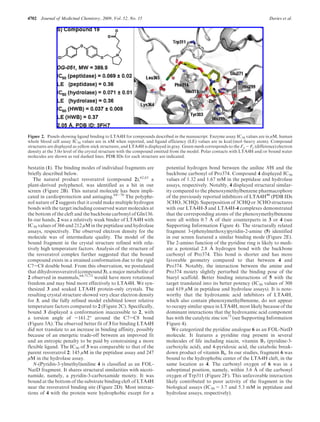 4702 Journal of Medicinal Chemistry, 2009, Vol. 52, No. 15 Davies et al.
bestatin (1). The binding modes of individual fragments are
briefly described below.
The natural product resveratrol (compound 2),62,63
a
plant-derived polyphenol, was identified as a hit in our
screen (Figure 2B). This natural molecule has been impli-
cated in cardioprotection and antiaging.64-70
The polyphe-
nol nature of 2 suggests that it could make multiple hydrogen
bonds with the target including conserved water molecules at
the bottom of the cleft and the backbone carbonyl of Gln136.
In our hands, 2 was a relatively weak binder of LTA4H with
IC50 values of 366 and 212 μM in the peptidase and hydrolase
assays, respectively. The observed electron density for the
molecule was of intermediate quality. The model of the
bound fragment in the crystal structure refined with rela-
tively high temperature factors. Analysis of the structure of
the resveratrol complex further suggested that the bound
compound exists in a strained conformation due to the rigid
C7-C8 double bond. From this observation, we postulated
that dihydroresveratrol (compound 3), a major metabolite of
2 observed in mammals,64,71,72
would have more rotational
freedom and may bind more effectively to LTA4H. We syn-
thesized 3 and soaked LTA4H protein-only crystals. The
resulting crystal structure showed very clear electron density
for 3, and the fully refined model exhibited lower relative
temperature factors compared to 2 (Figure 2C). Specifically,
bound 3 displayed a conformation inaccessible to 2, with
a torsion angle of -161.2° around the C7-C8 bond
(Figure 3A). The observed better fit of 3 for binding LTA4H
did not translate to an increase in binding affinity, possibly
because of an energetic trade-off between an improved fit
and an entropic penalty to be paid by constraining a more
flexible ligand. The IC50 of 3 was comparable to that of the
parent resveratrol 2: 145 μM in the peptidase assay and 247
μM in the hydrolase assay.
N-(Pyridin-3-ylmethyl)aniline 4 is classified as an FOL-
NatD fragment. It shares structural similarities with nicoti-
namide, namely, a pyridin-3-carboxamide moiety. It was
bound at the bottom of the substrate binding cleft of LTA4H
near the resveratrol binding site (Figure 2D). Most interac-
tions of 4 with the protein were hydrophobic except for a
potential hydrogen bond between the aniline NH and the
backbone carbonyl of Pro374. Compound 4 displayed IC50
values of 1.32 and 1.67 mM in the peptidase and hydrolase
assays, respectively. Notably, 4 displayed structural similar-
ity compared to the phenoxymethylbenzene pharmacophore
of the previously reported inhibitors of LTA4H40
(PDB IDs
3CHO, 3CHQ). Superposition of 3CHQ or 3CHO structures
with our LTA4H-3 and LTA4H-4 complexes demonstrated
that the corresponding atoms of the phenoxymethylbenzene
were all within 0.7 A˚ of their counterparts in 3 or 4 (see
Supporting Information Figure 4). The structurally related
fragment 3-(phenylmethoxy)pyridin-2-amine (5) identified
in our screen featured a similar binding mode (Figure 2E).
The 2-amino function of the pyridine ring is likely to medi-
ate a potential 2.8 A˚ hydrogen bond with the backbone
carbonyl of Pro374. This bond is shorter and has more
favorable geometry compared to that between 4 and
Pro374. Notably, the interaction between the amine and
Pro374 moiety slightly perturbed the binding pose of the
biaryl scaffold. Better binding interactions of 5 with the
target translated into its better potency (IC50 values of 308
and 619 μM in peptidase and hydrolase assays). It is note-
worthy that the hydroxamic acid inhibitors of LTA4H,
which also contain phenoxymethylbenzene, do not appear
to occupy similar space in LTA4H, most likely because of the
dominant interactions that the hydroxamic acid component
has with the catalytic zinc ion73
(see Supporting Information
Figure 4).
We categorized the pyridine analogue 6 as an FOL-NatD
molecule. It features a pyridine ring present in several
molecules of life including niacin, vitamin B3 (pyridine-3-
carboxylic acid), and 4-pyridoxic acid, the catabolic break-
down product of vitamin B6. In our studies, fragment 6 was
bound to the hydrophobic center of the LTA4H cleft, in the
same location as 4. The carbonyl oxygen of 6 was in a
suboptimal position, namely, within 3.6 A˚ of the carbonyl
oxygen of Trp311 (Figure 2F). This unfavorable interaction
likely contributed to poor activity of the fragment in the
biological assays (IC50 =3.7 and 5.3 mM in peptidase and
hydrolase assays, respectively).
Figure 2. Panels showing ligand binding to LTA4H for compounds described in the manuscript. Enzyme assay IC50 values are in μM, human
whole blood cell assay IC50 values are in nM when reported, and ligand efficiency (LE) values are in kcal/(mol 3 heavy atom). Compound
structures are displayed as yellow stick structures, and LTA4H is displayed in gray. Green mesh corresponds to the Fo - Fc (difference) electron
density at the 3.0σ level of the crystal structure with the compound omitted from the model. Polar contacts with LTA4H and/or bound water
molecules are shown as red dashed lines. PDB IDs for each structure are indicated.
 
