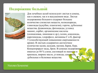 Подоро́жник большо́й 
Для лечебных целей используют листья и семена, 
как в свежем, так и в высушенном виде. Листья 
подорожника большого содержат большое 
количество слизистых веществ, полисахариды, 
гликозиды (аукубин, плантагин), горечи, дубильные 
вещества, флавоноиды, фитонциды, углевод 
маннит, сорбит, органические кислоты 
(салициловая, лимонная и др.), холин, алкалоиды, 
каротиноиды, хлорофилл, витамины С и К, фактор 
Т (способствующий повышению свертываемости 
крови). В листьях содержится достаточное 
количество калия, кальция, магния, бария, бора. 
Концентрирует медь, бром. В семенах подорожника 
имеется до 44 % слизи, состоящей из маннита и 
крахмала, жирное масло, углеводы, сапонины, 
дубильные и белковые вещества. 
 