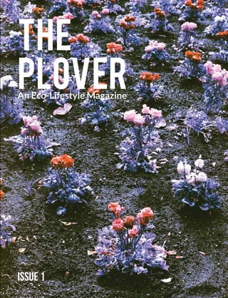 The
Plover
Issue 1
An Eco-Lifestyle Magazine
 