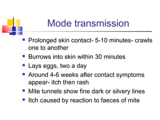 Mode transmission
 Prolonged skin contact- 5-10 minutes- crawls
one to another
 Burrows into skin within 30 minutes
 Lays eggs, two a day
 Around 4-6 weeks after contact symptoms
appear- itch then rash
 Mite tunnels show fine dark or silvery lines
 Itch caused by reaction to faeces of mite
 