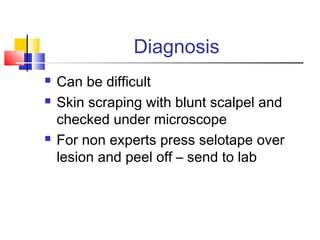Diagnosis
 Can be difficult
 Skin scraping with blunt scalpel and
checked under microscope
 For non experts press selotape over
lesion and peel off – send to lab
 