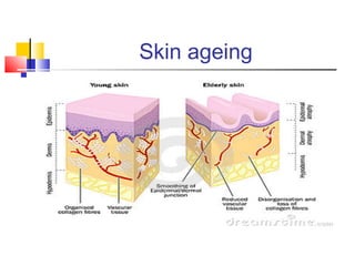 Skin ageing
 