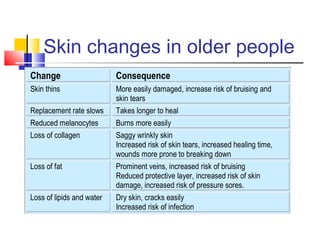 Skin changes in older people
Change Consequence
Skin thins More easily damaged, increase risk of bruising and
skin tears
Replacement rate slows Takes longer to heal
Reduced melanocytes Burns more easily
Loss of collagen Saggy wrinkly skin
Increased risk of skin tears, increased healing time,
wounds more prone to breaking down
Loss of fat Prominent veins, increased risk of bruising
Reduced protective layer, increased risk of skin
damage, increased risk of pressure sores.
Loss of lipids and water Dry skin, cracks easily
Increased risk of infection
 