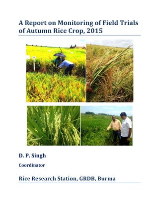 A Report on Monitoring of Field Trials
of Autumn Rice Crop, 2015
D. P. Singh
Coordinator
Rice Research Station, GRDB, Burma
 