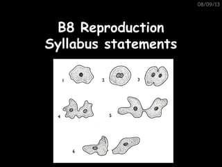 08/09/13
B8 ReproductionB8 Reproduction
Syllabus statementsSyllabus statements
 