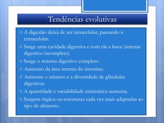 Tendências evolutivas
A   digestão deixa de ser intracelular, passando a
  extracelular.
 Surge uma cavidade digestiva e com ela a boca (sistema
  digestivo incompleto)
 Surge o sistema digestivo completo.
 Aumento da área interna do intestino.
 Aumenta o número e a diversidade de glândulas
  digestivas.
 A quantidade e variabilidade enzimática aumenta.
 Surgem órgãos ou estruturas cada vez mais adaptadas ao
  tipo de alimento.

                                                      Nuno Correia 11/12
 