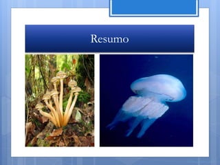 Resumo




         Nuno Correia 11/12
 
