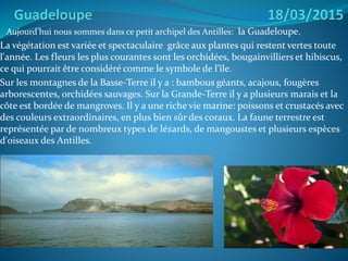 Aujourd’hui nous sommes dans ce petit archipel des Antilles: la Guadeloupe.
La végétation est variée et spectaculaire grâce aux plantes qui restent vertes toute
l'année. Les fleurs les plus courantes sont les orchidées, bougainvilliers et hibiscus,
ce qui pourrait être considéré comme le symbole de l'île.
Sur les montagnes de la Basse-Terre il y a : bambous géants, acajous, fougères
arborescentes, orchidées sauvages. Sur la Grande-Terre il y a plusieurs marais et la
côte est bordée de mangroves. Il y a une riche vie marine: poissons et crustacés avec
des couleurs extraordinaires, en plus bien sûr des coraux. La faune terrestre est
représentée par de nombreux types de lézards, de mangoustes et plusieurs espèces
d'oiseaux des Antilles.
 