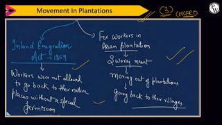 Movement In Plantations
 