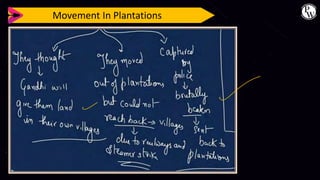 Movement In Plantations
 