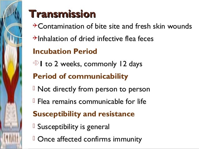 Disease that transmitted by vector