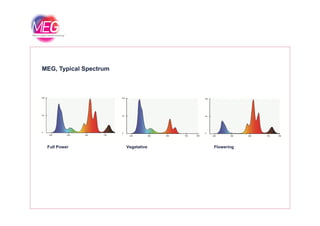 MEG, Typical Spectrum
Vegetative FloweringFull Power
 