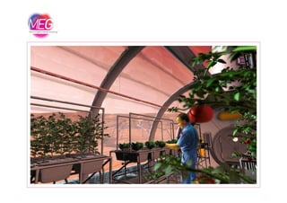 Fragmented Nutrition And Shared Knowledge - Carlo D'Alesio