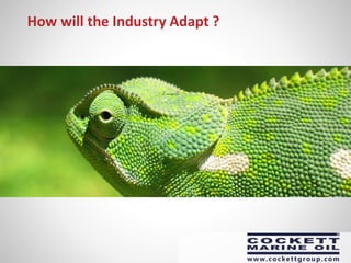 How will the Industry Adapt ?
 