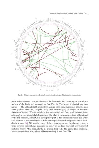 pairwise brain connections, we illustrated the features in the connectogram that shows
regions of the brain and connectivity (see Fig. 2). The image is divided into two
halves ÀÀÀ the left and right hemisphere. Within each half, regions are grouped into
lobes (frontal, temporal, occipital, etc.) from anterior (top of image) to posterior
(bottom of image). Within each lobe, ¯ne anatomical and functional divisions (par-
celations) are shown as labeled segments. The label of each segment is an abbreviated
code. For example, SupPrCS is the superior part of the precentral sulcus.The order
and position of the parcelations is ¯xed across patients and composes a static coor-
dinate system [26]. Within the center of the connectogram are the observed connec-
tions between parcelations, measured in vivo. The red lines represent overconnected
features, where ASD connectivity is greater than TD; the green lines represent
underconnected features, where ASD connectivity is less than TD.
Fig. 2. Connectogram reveals no obvious regional pattern of informative connections.
Towards Understanding Autism Risk Factors 211
 