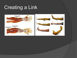 Creating a Link
 
