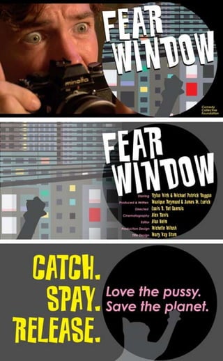 FEAR_WINDOW_graphics