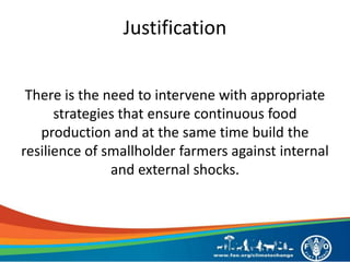 Justification
There is the need to intervene with appropriate
strategies that ensure continuous food
production and at the same time build the
resilience of smallholder farmers against internal
and external shocks.
 