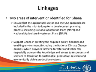 Linkages
• Two areas of intervention identified for Ghana
 Ensure that the agricultural sector and the CSA approach are
included in the mid- to long-term development planning
process, including National Adaptation Plans (NAPs) and
National Agriculture Investment Plans (NAIP).
 Support Ghana in creating the required policy, financial and
enabling environment (including the National Climate Change
policies) which provides farmers, foresters and fisher folk
(especially women) the knowledge and access to resources and
services to transition to sustainable, productive, resilient and
economically viable production systems.
 