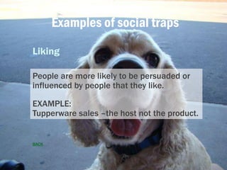 Examples of social traps
Liking
People are more likely to be persuaded or
influenced by people that they like.
EXAMPLE:
Tu...